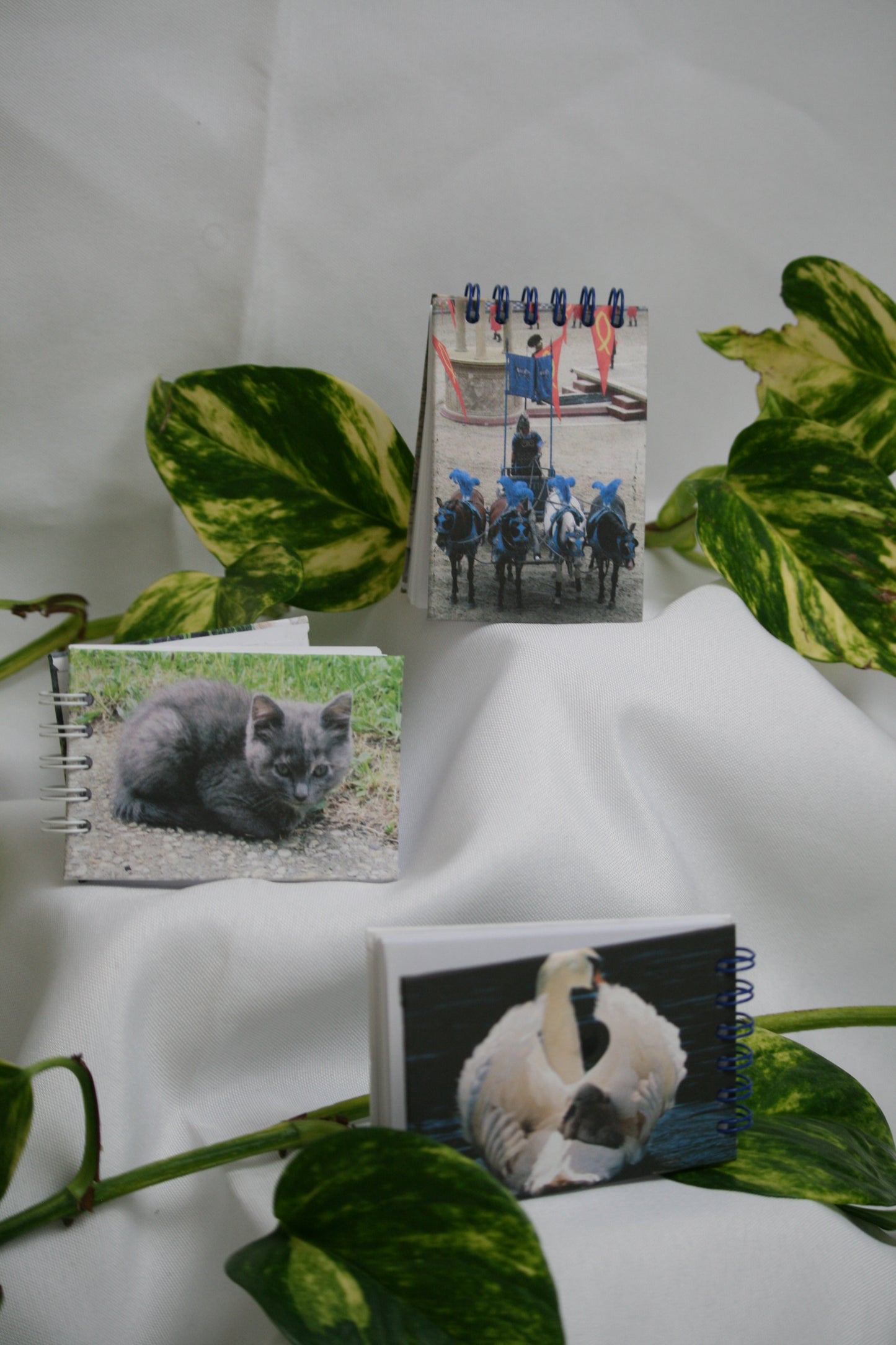Carnet 6x9 cm à l'italienne