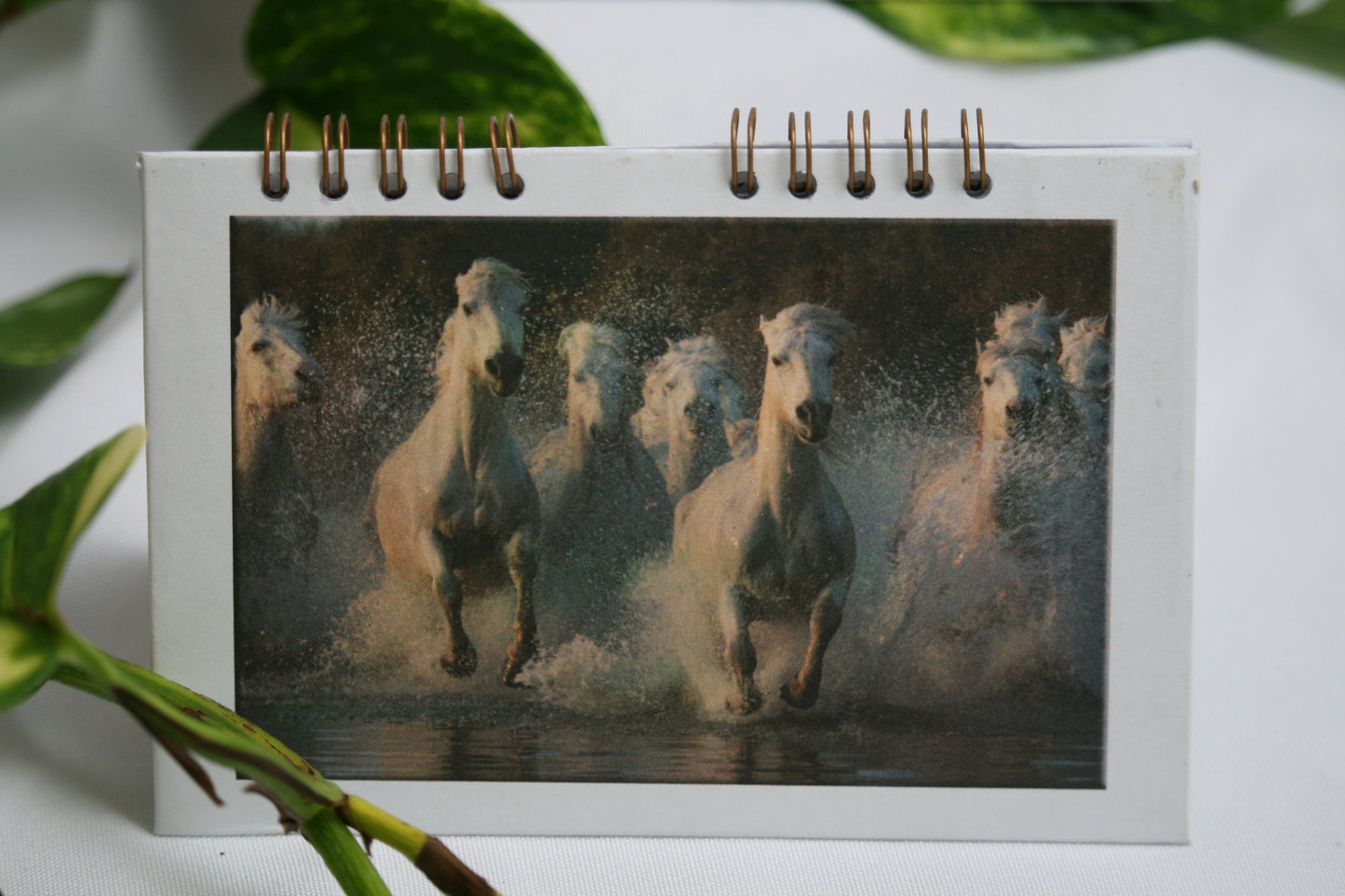Carnet 9x13 cm + 3 photos