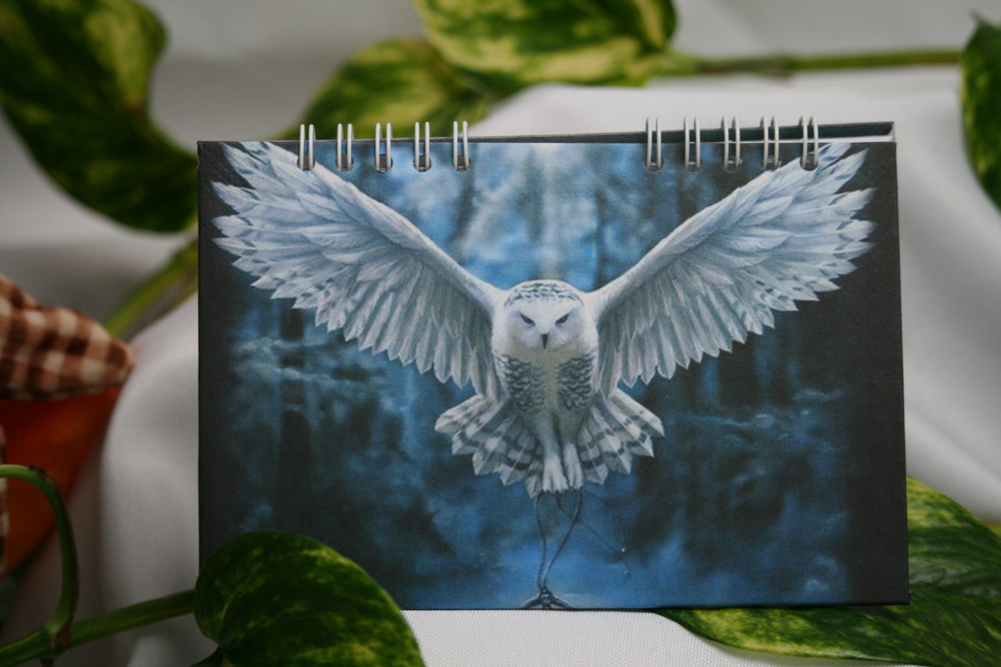 Carnet 10x15 cm à la française