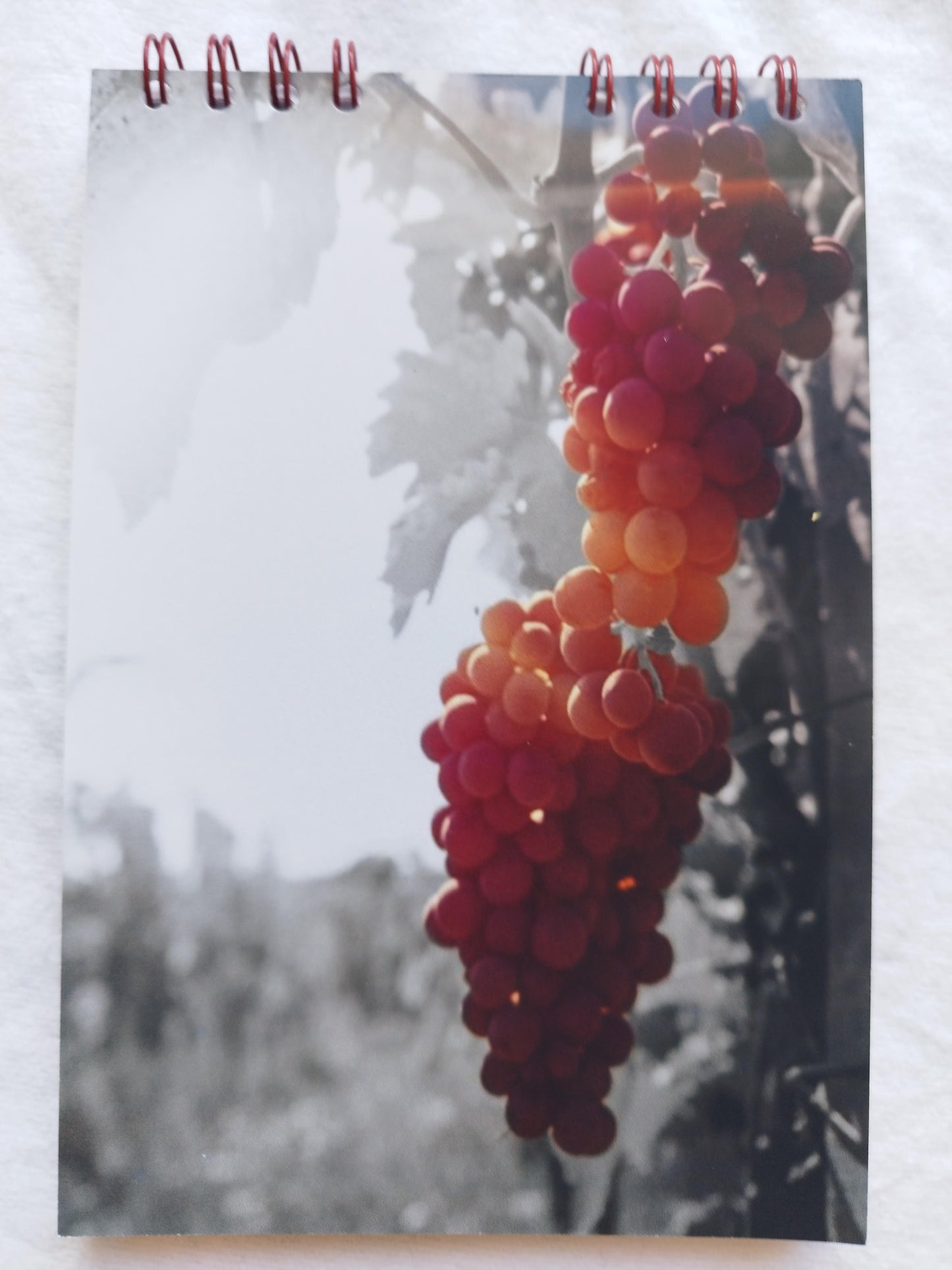 Carnet 9x13 cm à la française devant transparent